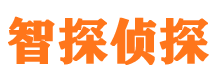 西城侦探公司